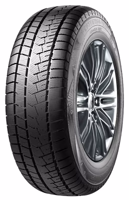 COTECHOO Ice5 235/55R20 102H 3PMSF RP