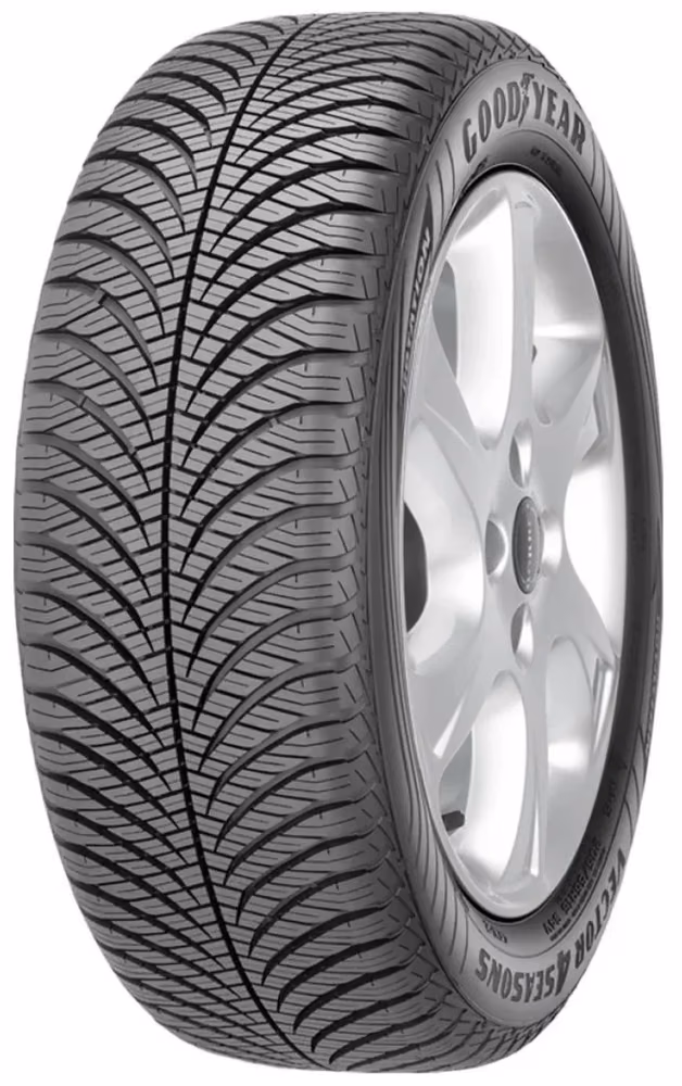 VECTOR ALL SEASON 4